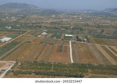 Aerial view of greenhouses and agricultural land in Mesogeia region, Attica, Greece - Powered by Shutterstock