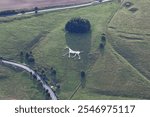 	
Aerial view of the Hackpen white horse and fields of Wiltshire, England	