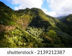 Aerial view of Hanapepe Valley on Kauai island, Hawaii, United States - Multiple waterfalls in a lush tropical landscape
