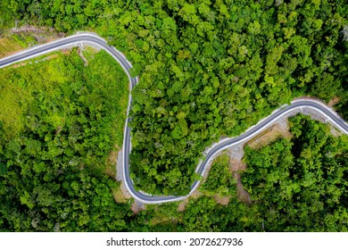 Aerial view of  hardened road curving through a tropical forest from above