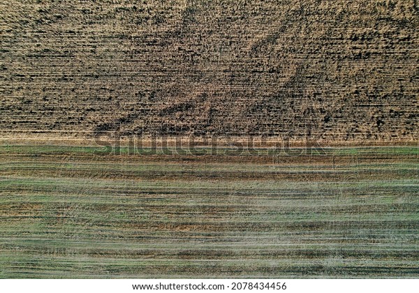 Aerial view of\
harvest field with different crops in autumn. Abstract agricultural\
landscape pattern in\
cropland