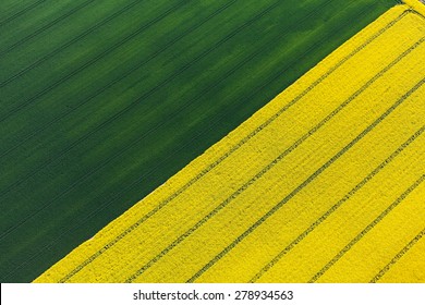 Luftbild der Erntefelder in Polen
