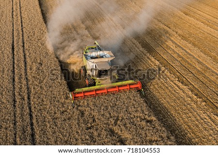 Similar – A combine harvester is harvesting grain crops on a cornfield in the evening sun seen from above