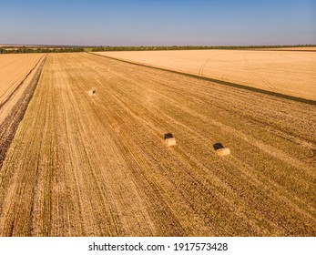 Aerial view of harvested wheat field. Haystacks lay upon the agricultural field. Photo taken on drone.