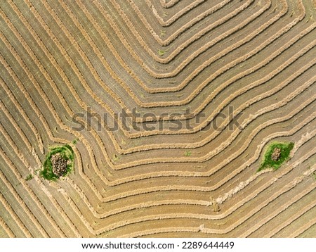 Aerial view of harvester patterns around trees on farmland
