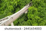 Aerial view of Henderson Waves Bridge in Singapore.