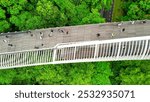 Aerial view of Henderson Waves Bridge in Singapore.