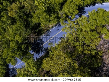 An aerial view, high over Snake Hill Road on Long Island, New York on a sunny day. The area is surrounded by beautiful green trees. The shot was taken with a drone camera.