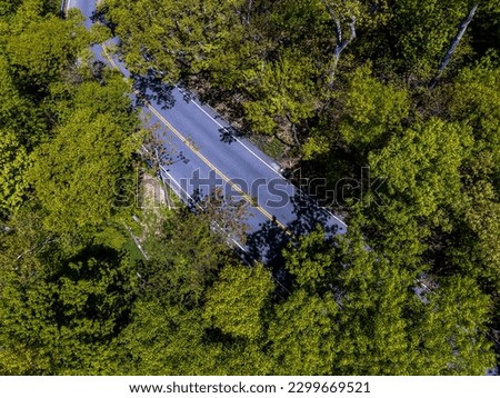 An aerial view, high over Snake Hill Road on Long Island, New York on a sunny day. The area is surrounded by beautiful green trees. The shot was taken with a drone camera.