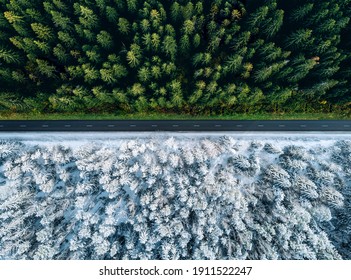 Aerial view of a highway road through the forest in summer and winter. - Powered by Shutterstock