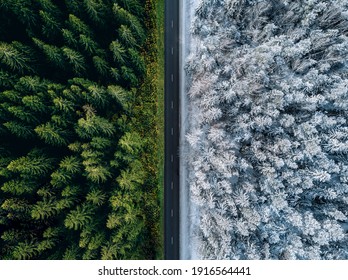 Aerial view of a highway road through the forest in summer and winter.