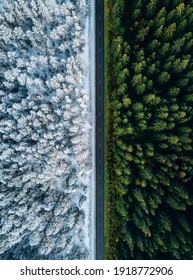 Aerial View Of A Highway Road Through The Forest In Summer And Winter.