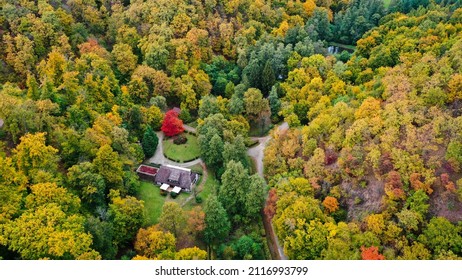 aerial view house deep in the forest in autumn