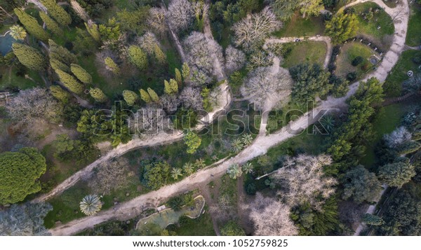Aerial View Huge Garden Villa Sciarra Stock Photo Edit Now
