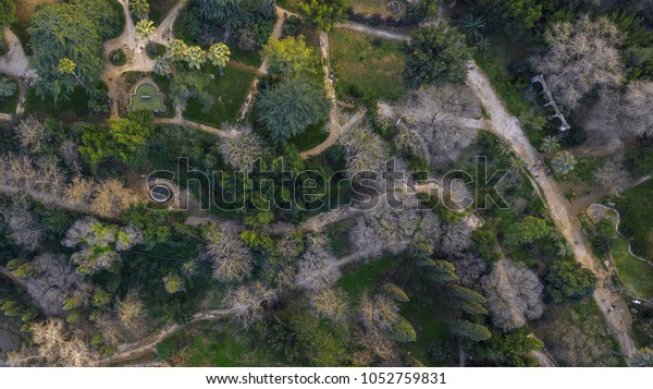 Aerial View Huge Garden Villa Sciarra Stock Photo Edit Now