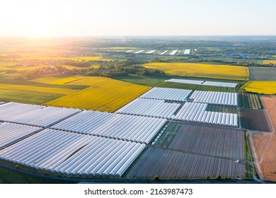 Aerial view of huge greenhouse fields, agriculture, growing vegetables in greenhouses - Powered by Shutterstock