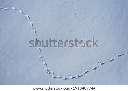 Aerial view of a human footprints in the snow of a hiker on snowshoes. Top view human footprints in deep snow.