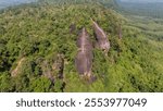 Aerial view of an iconic Three Whales Rock (in Thai called Hin Sam Wan) a 75-million-year-old rock formation protruding out of a mountain in Phou Sing, Bueng Kan Province, Thailand.