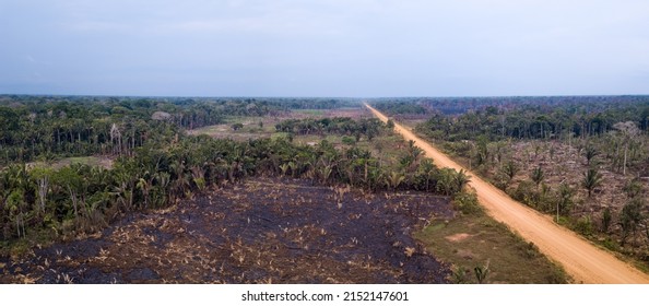 Aerial view of illegal deforestation in the amazon rainforest and BR-230 Transamazonica road. Forest trees cut and burned to open land for agriculture and livestock pasture in Amazonas, Brazil. - Shutterstock ID 2152147601
