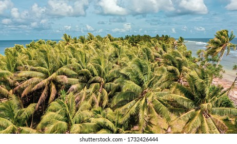 Aerial View Of The Island Of Tuvalu Located In The Pacific Ocean.