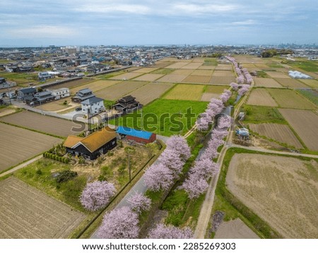 Aerial view of Japanese house by river with cherry blossoms in full bloom