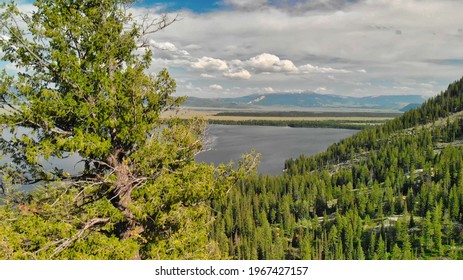 Aerial View Of Jenny Lake In Grand Teton National Park.