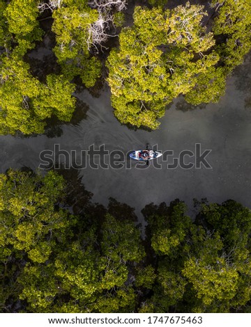 Aerial view of a kayak cruising through a river and  mangroves.
