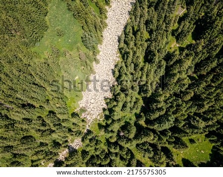 Aerial view of Konyarnika area at Vitosha Mountain, Sofia City Region, Bulgaria
