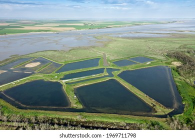 Aerial view La-Faute-sur-Mer natural reserve in Vendee department, Pays-de-la-Loire region, France, Europe
