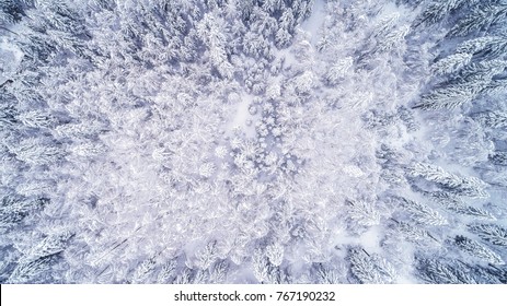 Aerial View Of The Lake And Forest On A Cold Winter Day