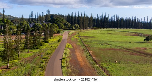 Aerial View Of Lanai City  