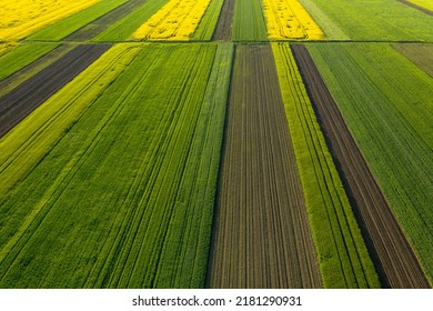 Aerial view with the  landscape geometry texture of a lot of agriculture fields with different plants like rapeseed in blooming season and green wheat. Farming and agriculture industry. - Shutterstock ID 2181290931