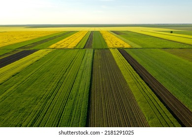 Aerial view with the  landscape geometry texture of a lot of agriculture fields with different plants like rapeseed in blooming season and green wheat. Farming and agriculture industry. - Shutterstock ID 2181291025