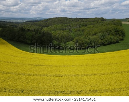 Aerial view of a Landscape in spring with blooming canola field, grass, tress and a cloudy sky 