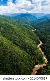 Aerial view landscape of Teak forest and a river near Thailand-Myanmar border. Green Teak forest in rain season. Pure tropical forest. Environment, climate change concepts. Focus on green plants.