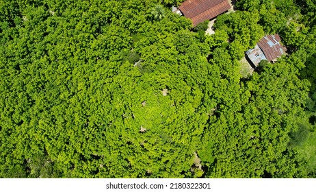 Aerial View Of Landscape Village Countryside And Green Tree, Thailand. Textured In Nature And Residence. Natural Background, Aerial Photography From A Drone.