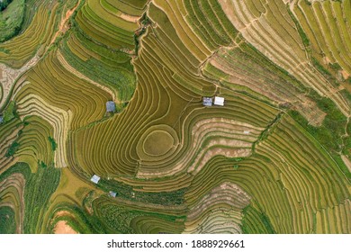 Aerial view laocai Vietnam Vietnam Paddy fields, Sapa, Vietnam