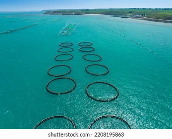 Aerial View Of Large Fish Farming Unit On The Sea, Taiwan.