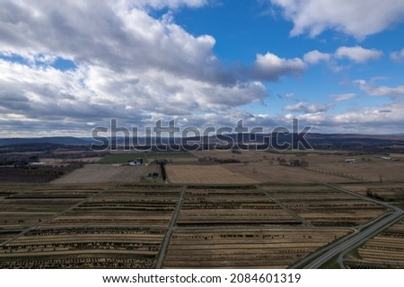 An aerial view of large and small Christmas trees growing at a farm in rural Maryland in December.