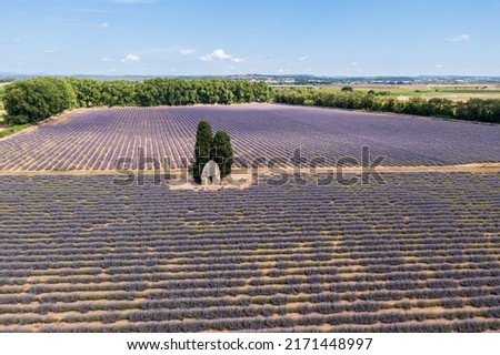 Aerial view of a lavender field in summer, near Aimargues, Occitanie, France