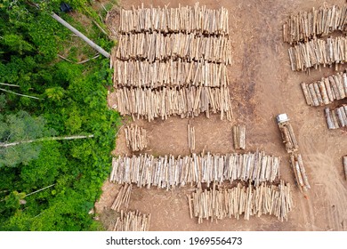 Aerial View Of A Log Storage Yard From Authorized Logging In An Area Of The Brazilian Amazon Rainforest.