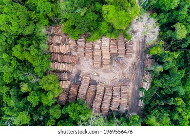 Aerial View Of A Log Storage Yard From Authorized Logging In An Area Of The Brazilian Amazon Rainforest.