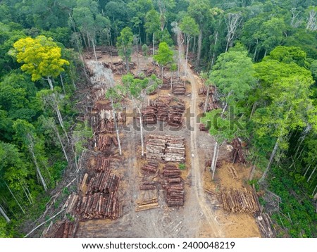 Aerial view of a logging yard in the Amazon rainforest: The yard is located in a clearing surrounded by dense forest. The logs are stacked in neat rows, and they are a variety of sizes and species.