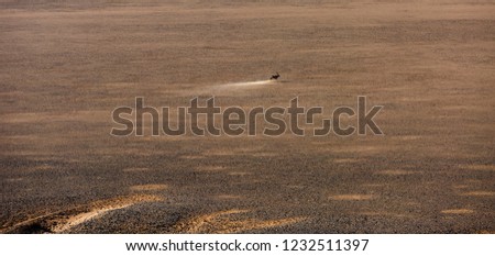 Similar – traces Umwelt Natur Sand