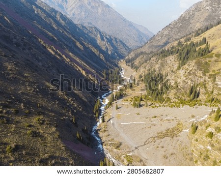 Aerial view looking down a narrow mountain valley with dark steep slopes, a trickling stream, and scattered evergreen pine forest trees