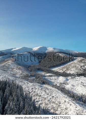 Aerial view of Low Tatras mountains in Slovakia. Winter scenery with rocky skyline and scenic woods, frozen beautiful landscape with ice and snow on pine trees growing on rocks and hills from above