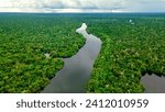 Aerial view of the lush Amazon rainforest, with a winding river cutting through the dense greenery under a cloudy sky