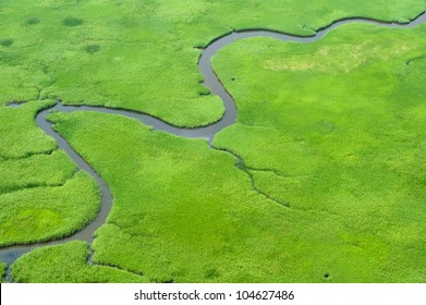 Aerial View Of Lush Coastal Wetlands