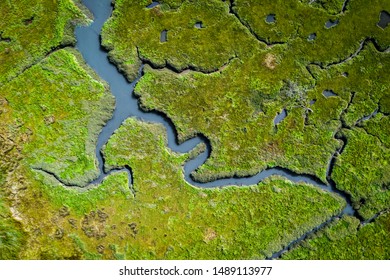 Aerial view of lush coastal wetlands in UK