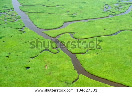 Aerial view of lush coastal wetlands